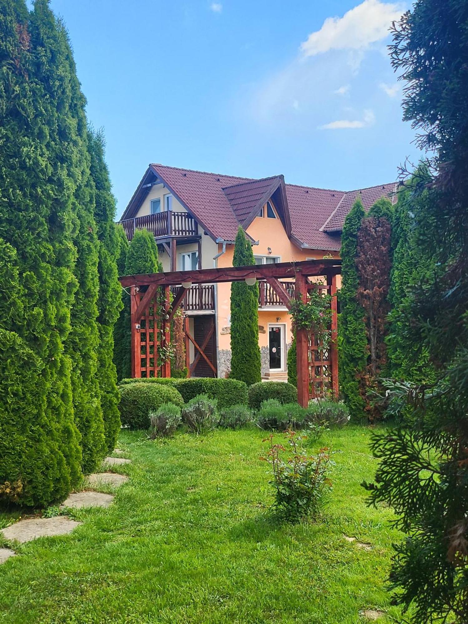 Pensiunea Mountain King Sîmbăta de Sus Exteriér fotografie