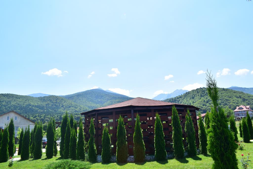 Pensiunea Mountain King Sîmbăta de Sus Exteriér fotografie