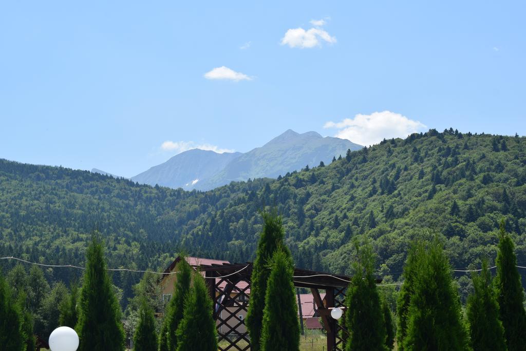 Pensiunea Mountain King Sîmbăta de Sus Exteriér fotografie