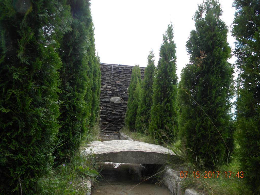 Pensiunea Mountain King Sîmbăta de Sus Exteriér fotografie